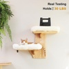 image:imageFUKUMARU Cat Wall Shelves 2 Platform Kitten Wall Furniture Tree Shape WallMounted Floating Shelf with Sisal Mat Solid Rubber Wood Cats Perch for 16 Inch Drywall Suitable for Climb Play NapWhite cushion