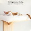image:imageFUKUMARU Cat Wall Shelves 2 Platform Kitten Wall Furniture Tree Shape WallMounted Floating Shelf with Sisal Mat Solid Rubber Wood Cats Perch for 16 Inch Drywall Suitable for Climb Play NapWhite cushion