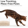 image:imageFUKUMARU Tofu Cat Litter Super Ultra Absorbent 18 LBS Clumping Cat Litter Flushable Natural Lightweight Dust Free Quick Clumping Low Tracking Odor Control 6lb x 3 Packs12lbs  6lb  2 Bags