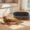 image:imageFUKUMARU 2 Packs Replacement Refills for 24 Inch Cat Scratcher Bed Sofa 14 Inch Thickness Cardboard Scratching Board Cat Scratch Pads Suitable for Indoor Cats