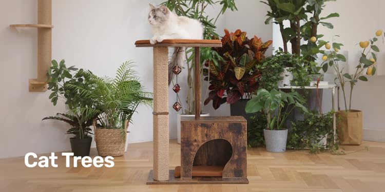 FUKUMARU : All-in-One Cat Home Goods