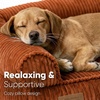 image:imageFUKUMARU Cute Dog Bed Thickened Orthopedic Dogs Couch 36in Egg Crate Foam Pet Sofa for Medium to Large Dogs Waterproof Warm Corduroy Pet Bed with Washable Cover BlueOrange