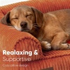 image:imageFUKUMARU Cute Dog Bed Thickened Orthopedic Dogs Couch 36in Egg Crate Foam Pet Sofa for Medium to Large Dogs Waterproof Warm Corduroy Pet Bed with Washable Cover BlueOrange