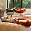 image:imageFUKUMARU Cute Dog Bed Thickened Orthopedic Dogs Couch 36in Egg Crate Foam Pet Sofa for Medium to Large Dogs Waterproof Warm Corduroy Pet Bed with Washable Cover BlueCream