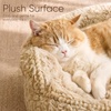 image:imageFUKUMARU Round Cat Bed Plush Washable Calming Dog Bed with Low Entry  Raised Bolster Small Dog Bed Soft Cozy Donut Cat Bed for Indoor Cats Faux Rabbit Fur amp AntiSlip Bottom 20 Inch CamelCamel