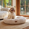 image:imageFUKUMARU Small Dog Bed 25 Orthopedic Dog Bed for Puppies Donut Cat Beds  Gradient Color Calming Donut Dog Beds for Small Dogs Round Pet Bed with Washable Cover Cute Cat Bed for Indoor Cats PinkCamel Gradient