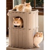 image:imageFUKUMARU Cat House for Indoor Cats 2362 Inch Large Cat Bed Cave Condo 2Storey Cozy Felt Covered Cats Tunnel Kitten Hideaway for Multicats Scratch Resistant Dark GreyCamel