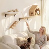 image:imageFUKUMARU Cat Wall Shelves Cat Walls Furniture with Soft Bed Solid Rubber Wood Floating Shelf Kitten Window Perch for Sleeping Playing and ScratchingMCushion Mat