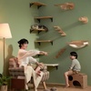 image:imageFUKUMARU Cat Wall Shelves Cat Walls Furniture with Soft Bed Solid Rubber Wood Floating Shelf Kitten Window Perch for Sleeping Playing and ScratchingMSisal Mat