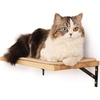 image:imageFUKUMARU Cat Wall Shelves Cat Walls Furniture with Soft Bed Solid Rubber Wood Floating Shelf Kitten Window Perch for Sleeping Playing and ScratchingMSisal Mat