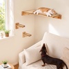 image:imageFUKUMARU Cat Wall Shelves 4 Set Solid Rubber Wood Shelf with Sisal Mat