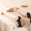 image:imageFUKUMARU Cat Wall Shelves 4 Set Solid Rubber Wood Shelf with Sisal Mat